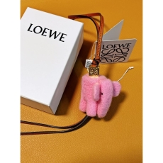 Loewe Bags Accessories